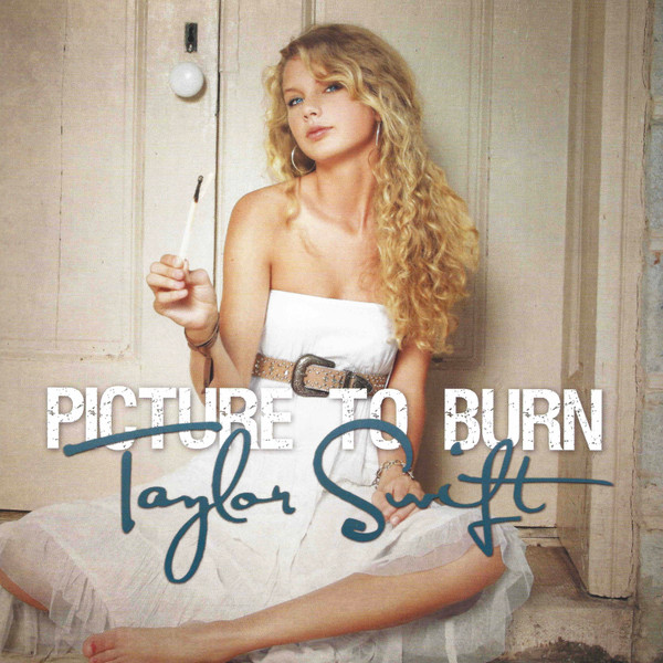 Picture To Burn Cover